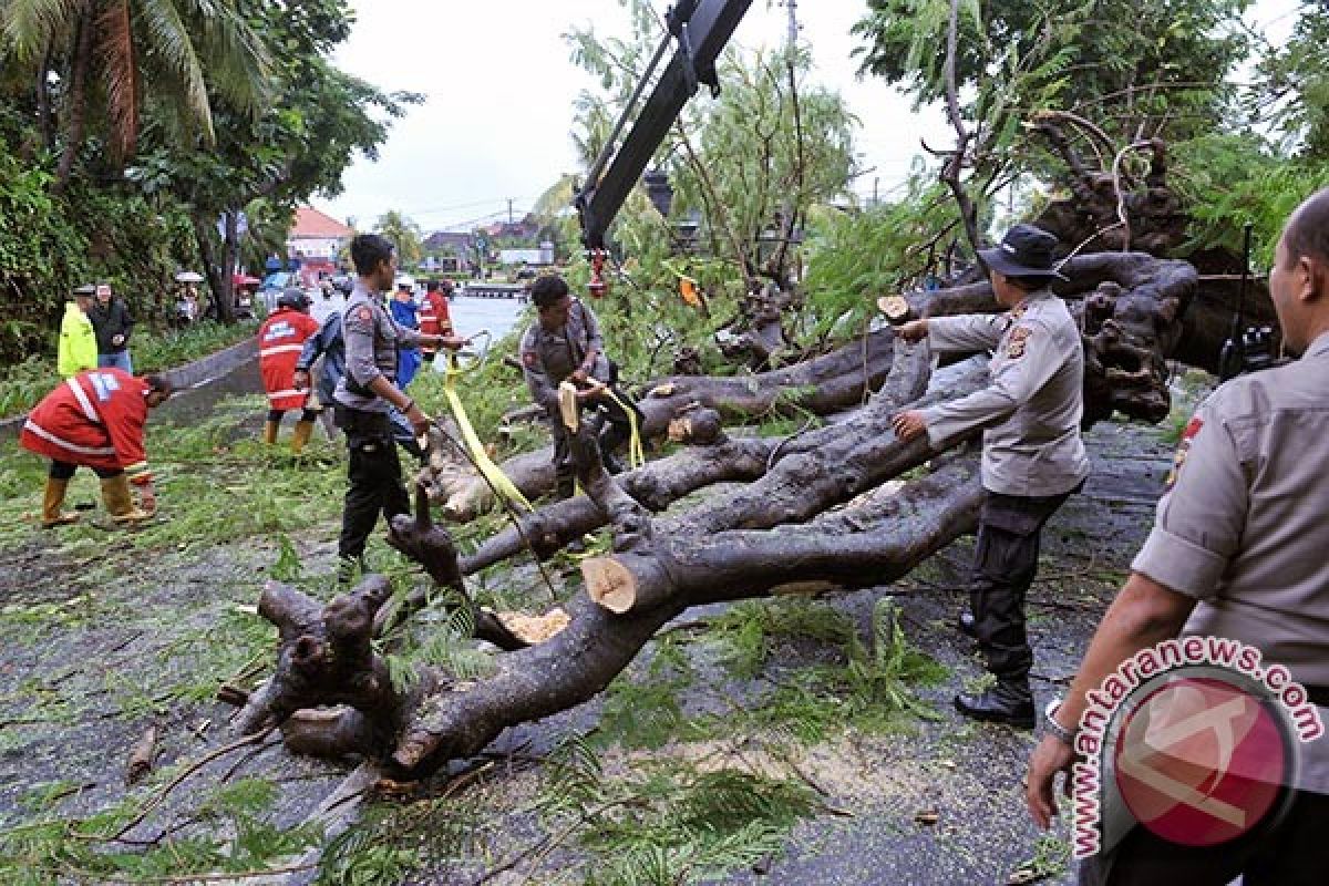 Hati-Hati Cuaca Ekstrem di Buleleng, Bangli dan Karangasem