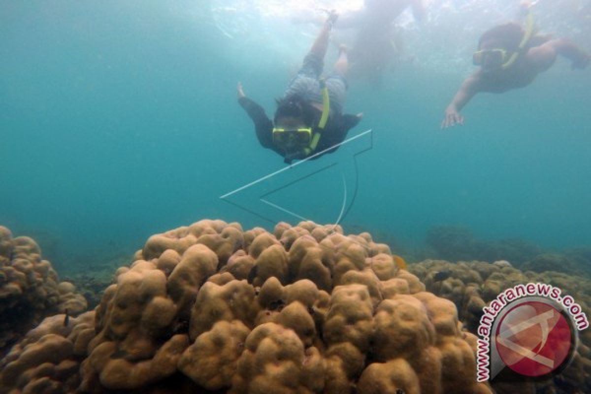 Delegasi IMF mulai berdatangan ke Labuan Bajo