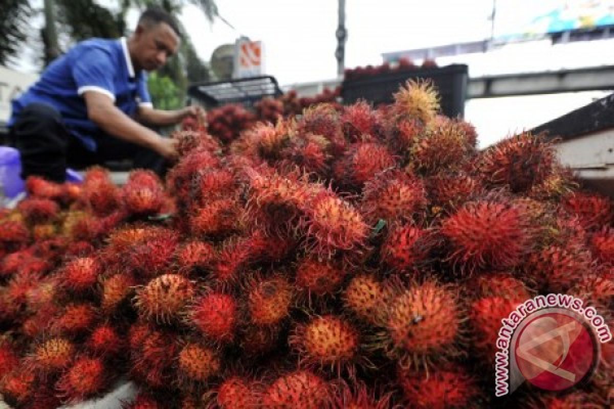 Pemkot Beri Kelonggaran Pedagang Buah Di Jalan