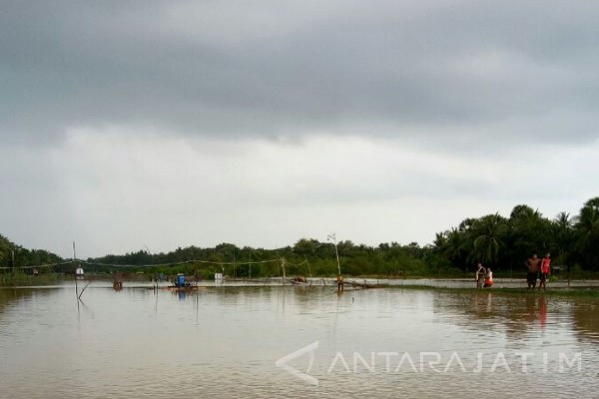 Areal Tambak Udang di Sumenep Terendam Air