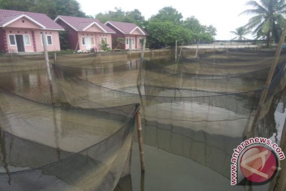 Dinas Perikanan Palembang optimalkan kolam retensi