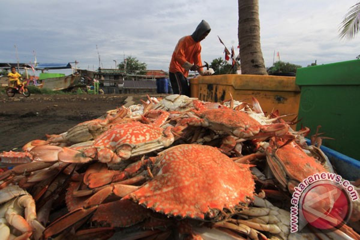 Perlu segera dibatasi, penangkapan kepiting dan rajungan sudah mencemaskan