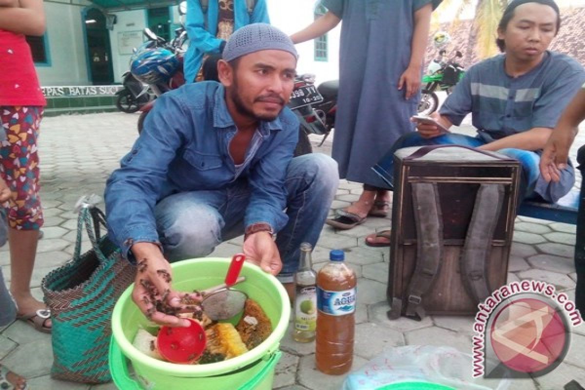 Profesi menantang memburu madu lebah sialang