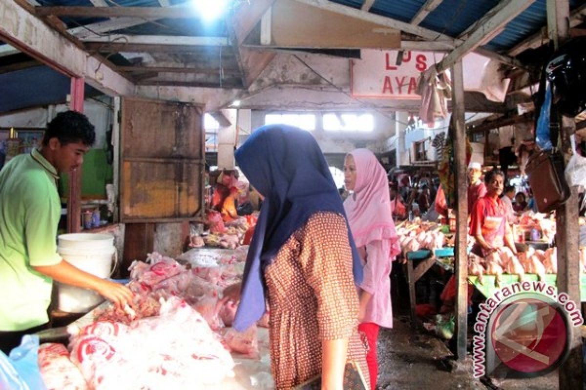 Harga ayam kampung di Ambon Rp150.000/ekor