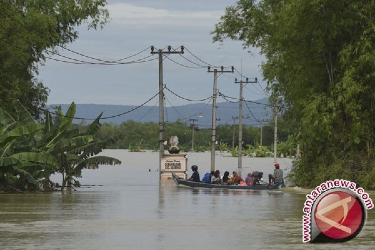 Ratusan Hektare Padi di Bojonegoro Terendam Banjir