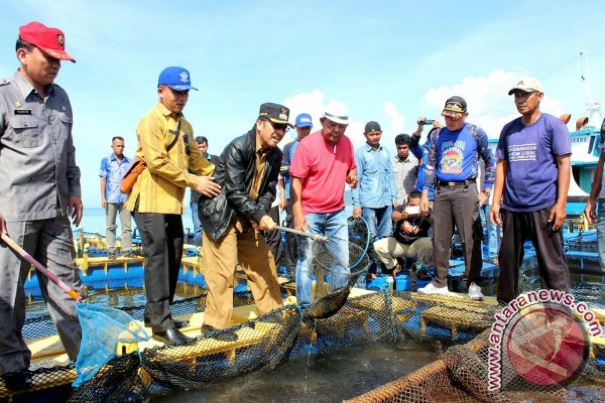 Pemkab Pasaman Barat Tingkatkan Kemampuan Pembudidaya Ikan Kerapu