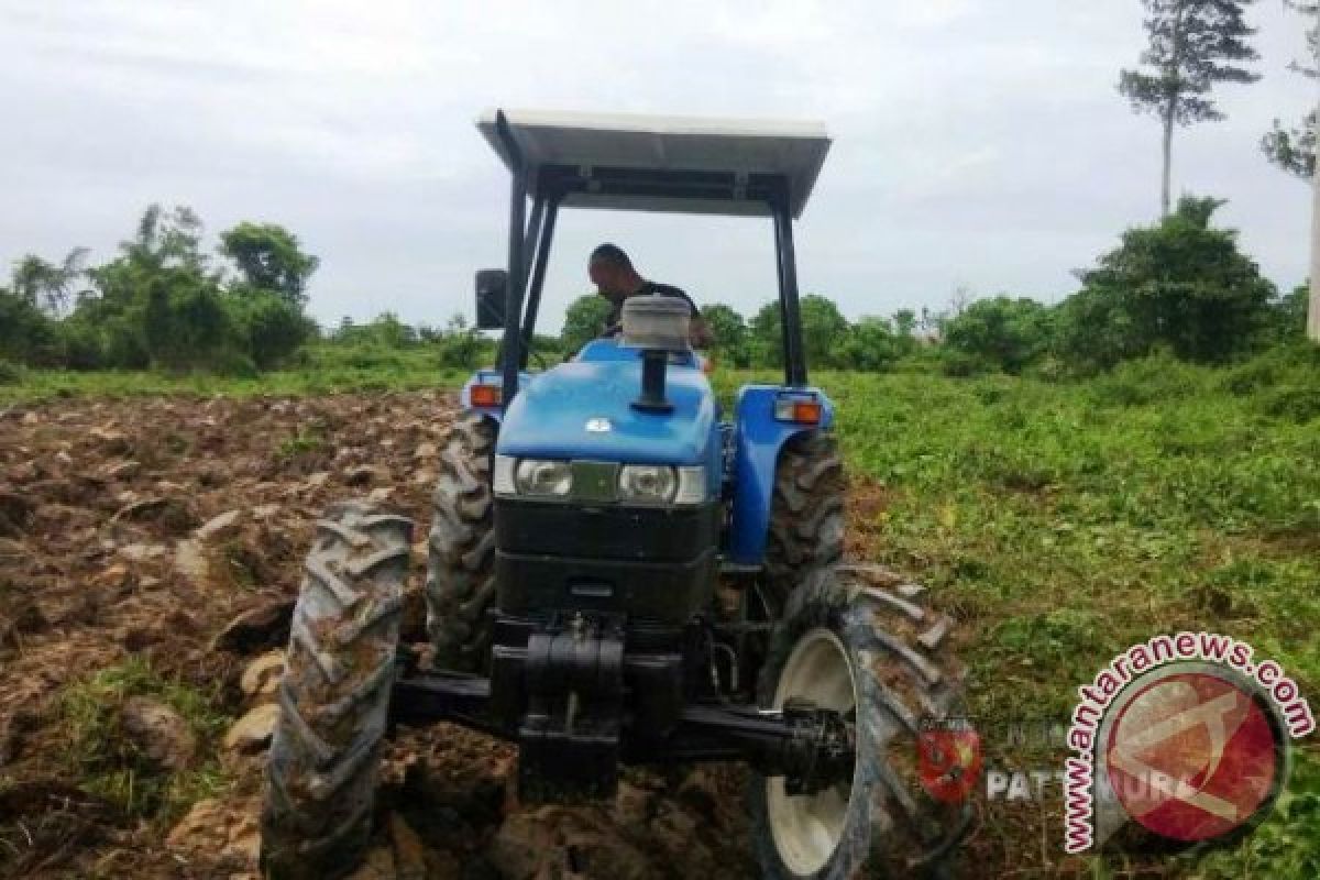 Babinsa dan Petani Fatolo Tanam Jagung