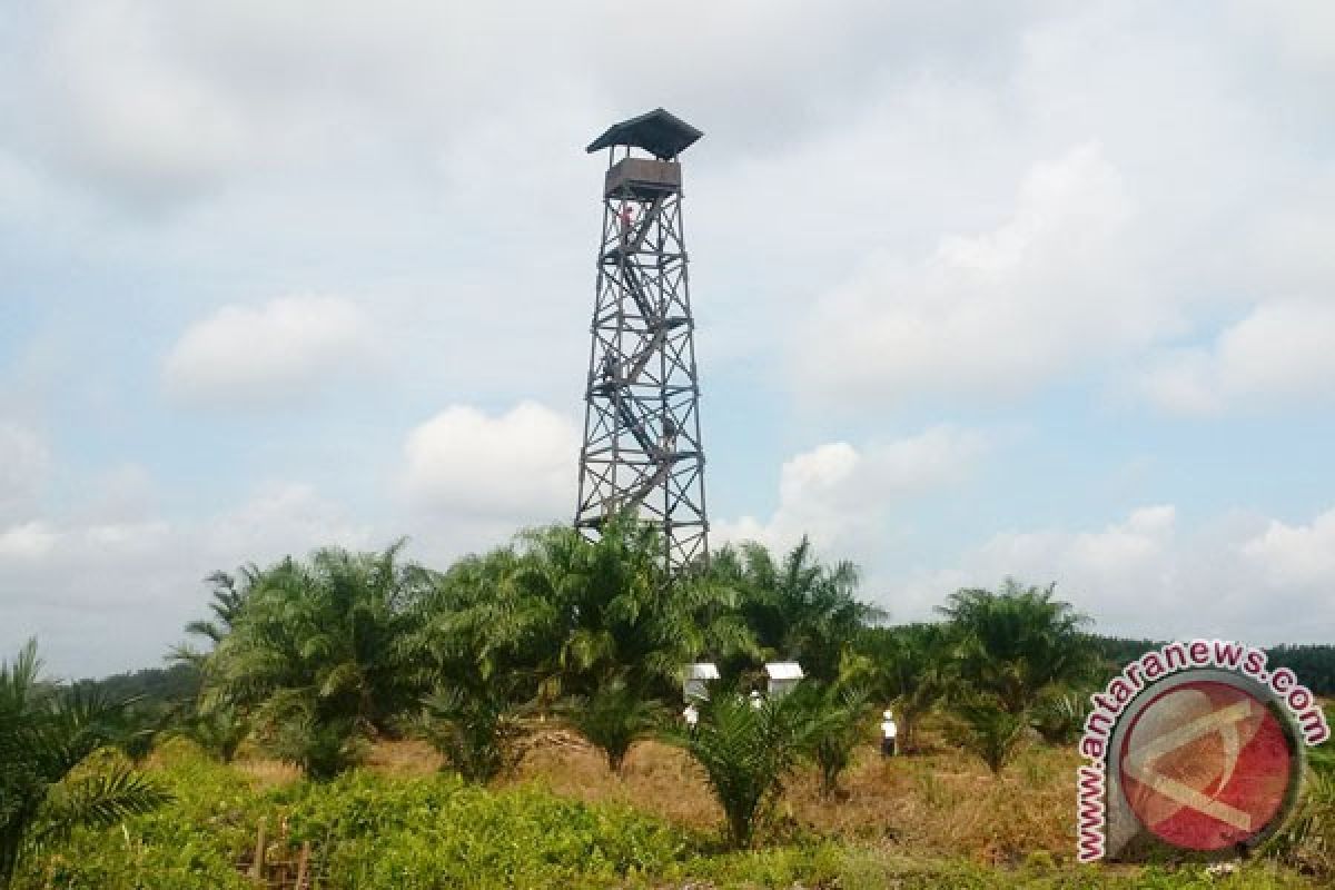 Perkebunan Sawit Diajak Kelola Perkebunan Yang Ramah Lingkungan 