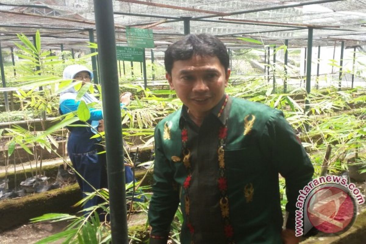 Kabupaten Sigi kembangkan bambu di lahan tandus