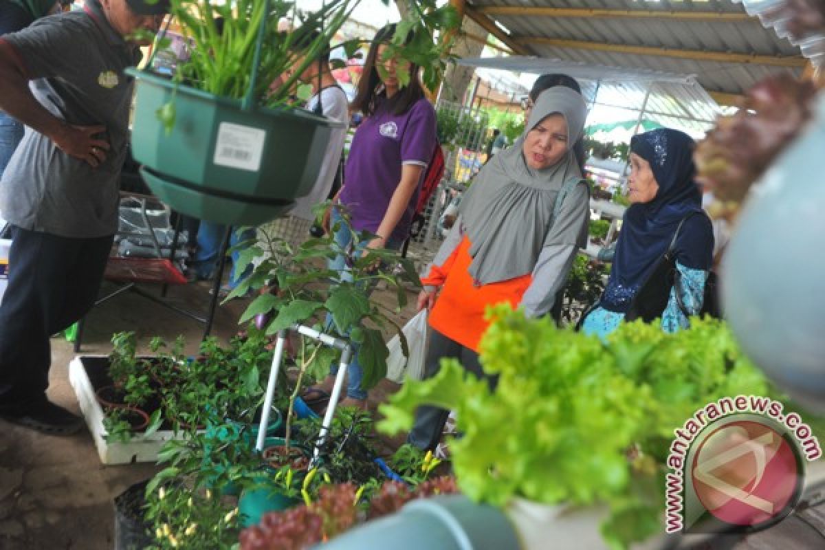 Kementan dorong produksi sayuran dari lahan pekarangan