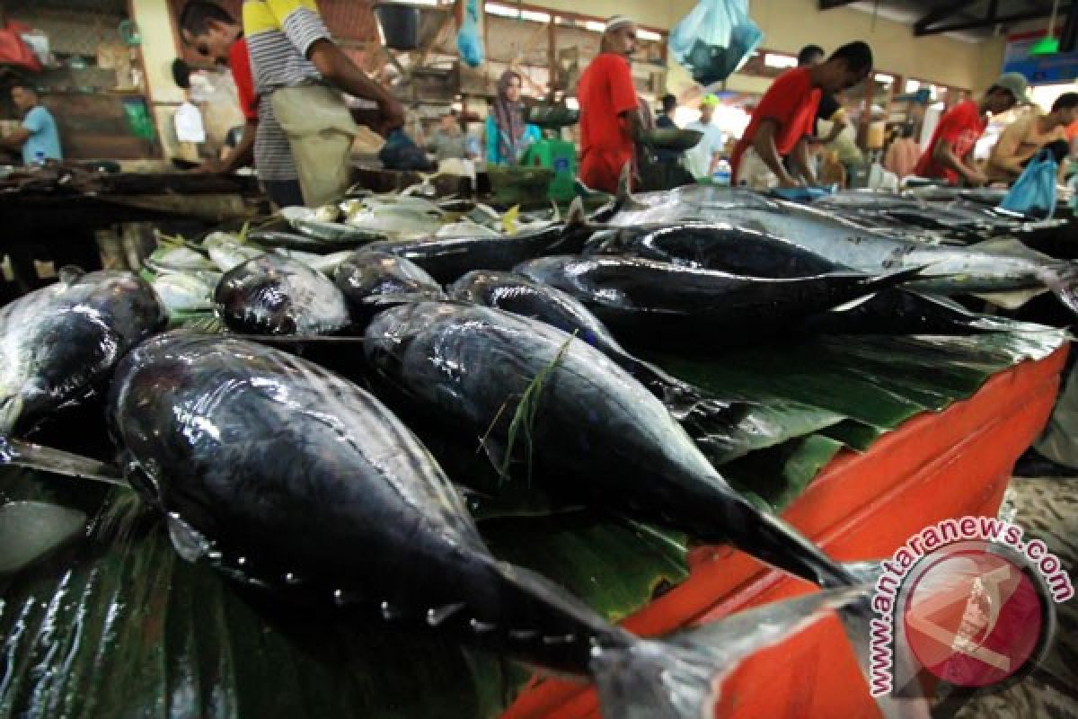 Harga ikan segar di Kendari melambung