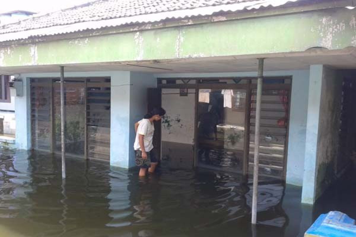 Tanggul Jebol, Puluhan Rumah di Grobogan Tergenang Banjir
