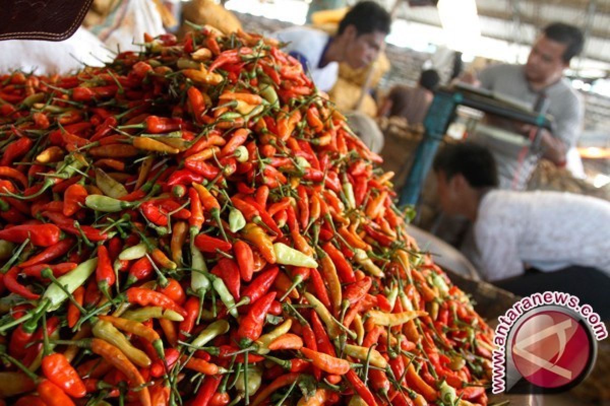 Harga Cabai Di Pasar Johar Semarang Mulai Turun