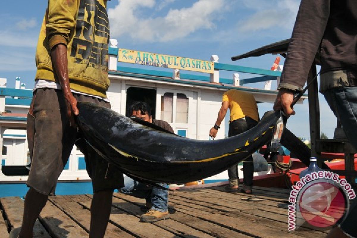 Nelayan Aceh masuki musim panen ikan