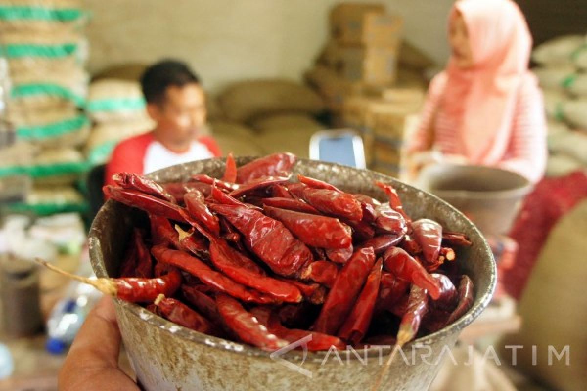 Di Trenggalek Cabai Impor Kurang Diminati Pembeli