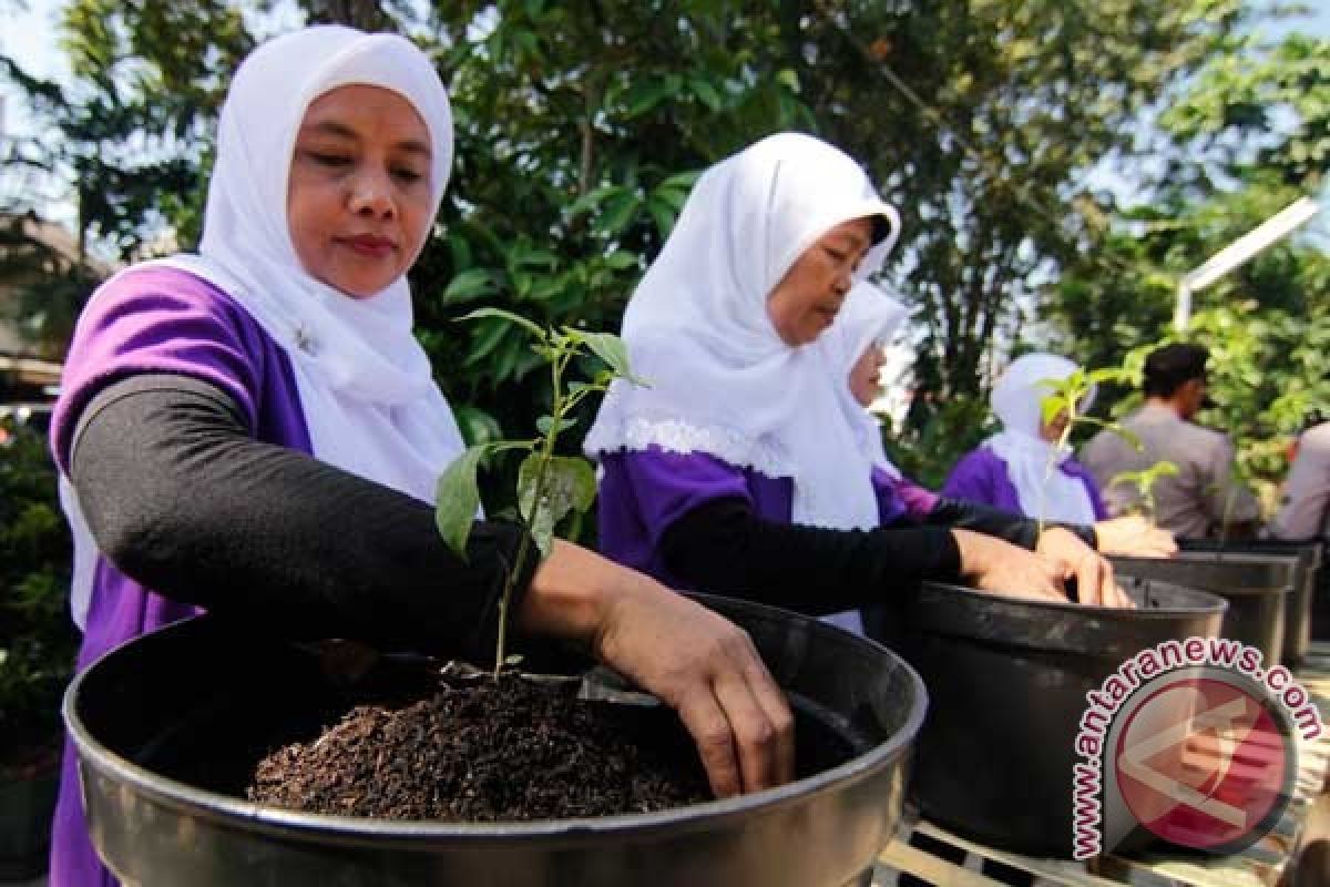 BKP NTB Andalkan Kaum Perempuan Produksi Cabai 