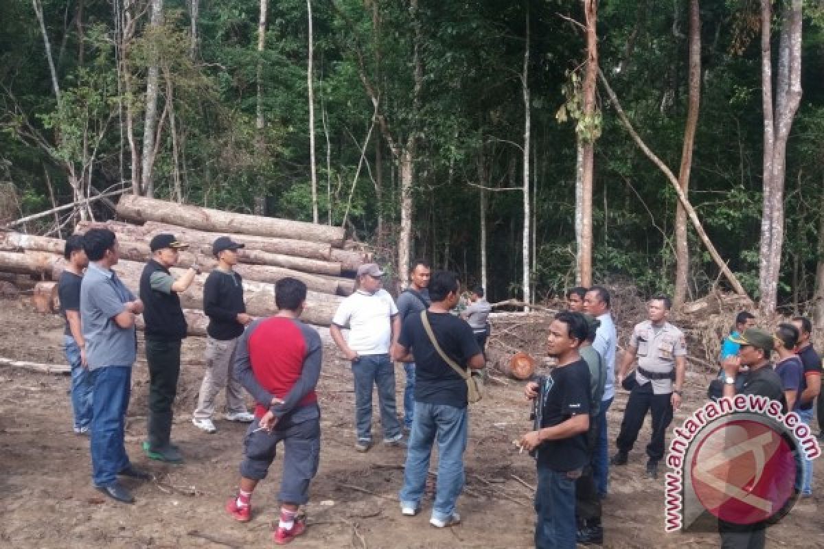 Tim Gabungan Temukan Kayu Diduga Pembalakan Liar