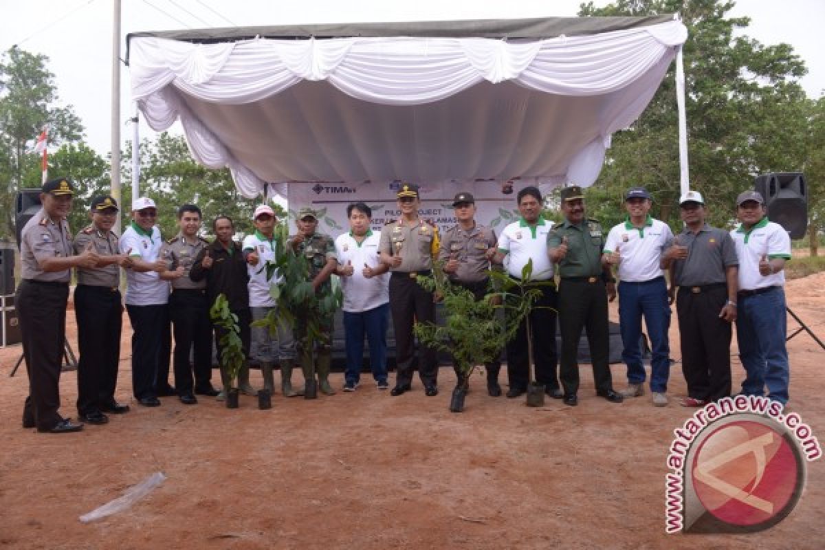 PT Timah-Polda Babel Tanami Pangan di Bekas Tambang 