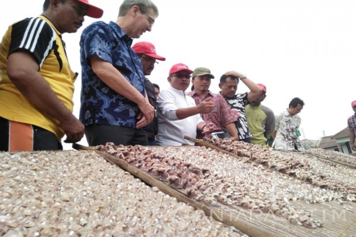 Dubes Kanada Penasaran Ikan Asin Nelayan Kenjeran (Video)