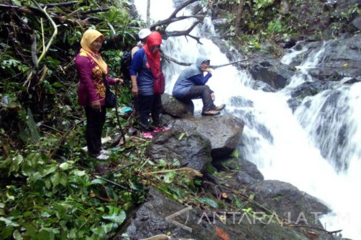 Serunya Berpetualang di Air Terjun Sarang Tawon Jember (Video)