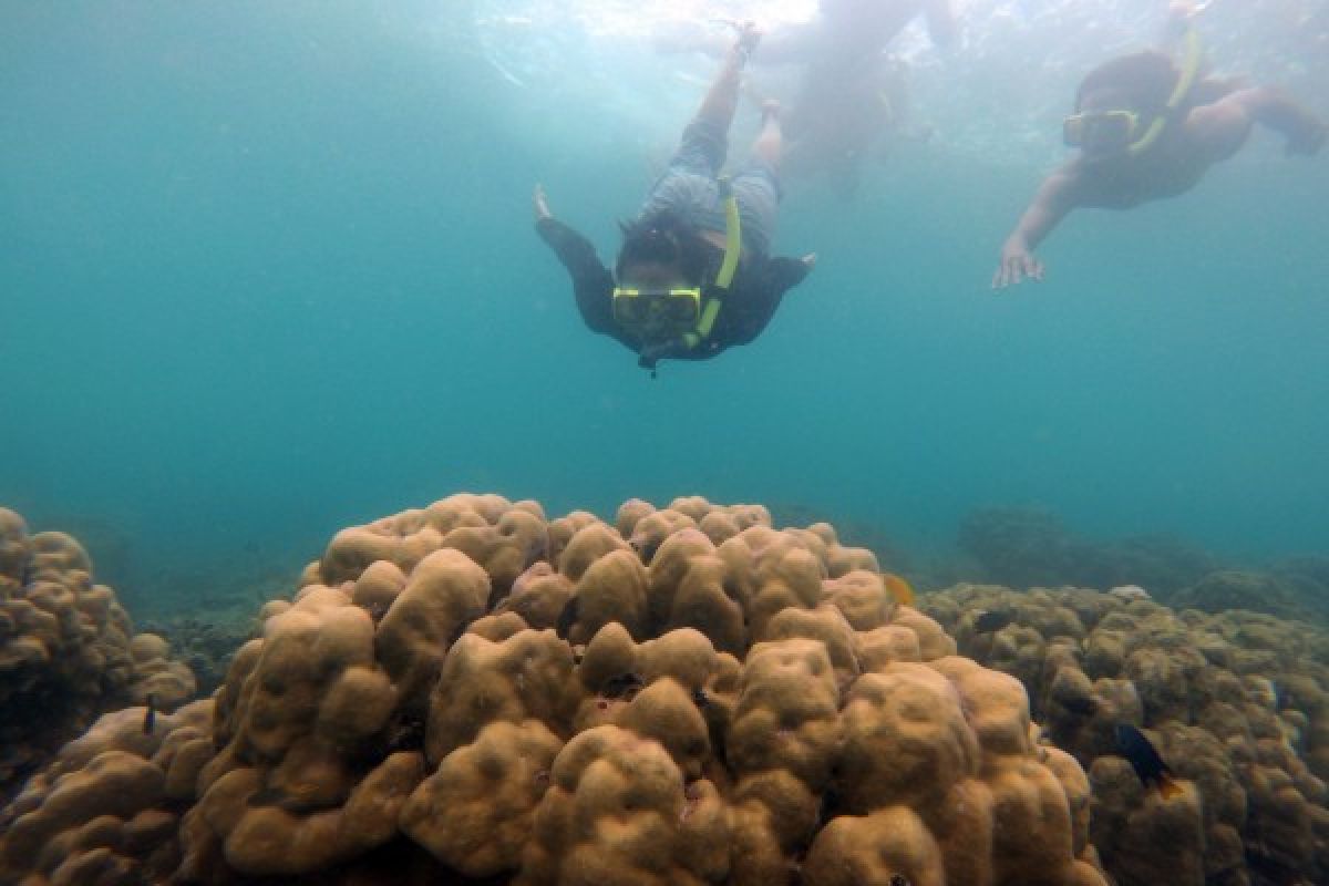 Sarwono Kusumaatmadja: Indonesia negara kepulauan, tapi buta laut