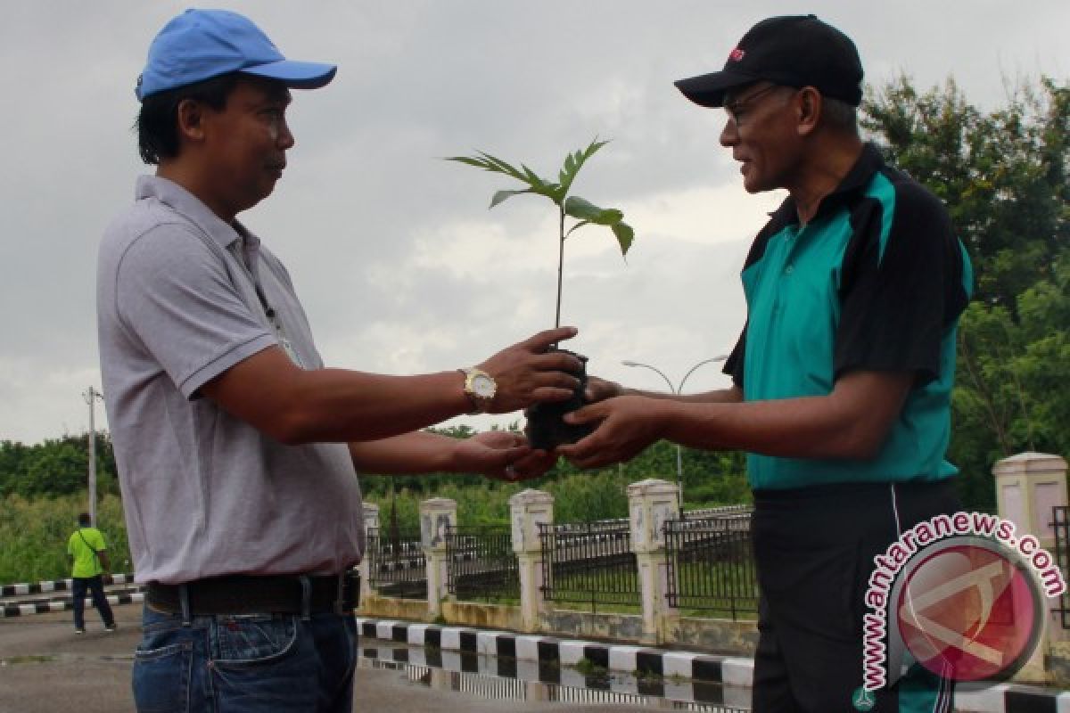 Angkasa Pura Tanam 530 Anakan Pohon