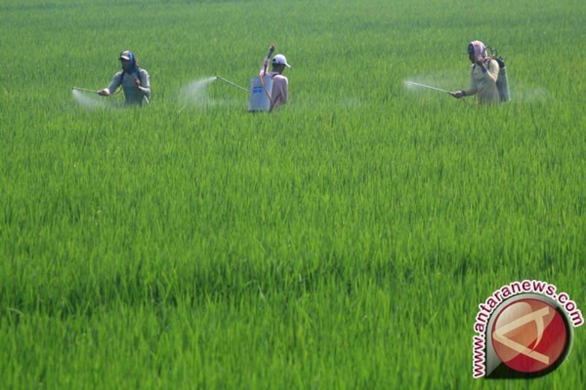 Peteni dapat bantun mesin pompa untuk mengairi sawah