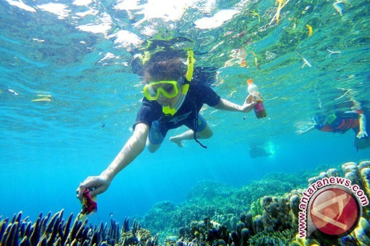 KKP: Terumbu karang vital bagi ekosistem laut