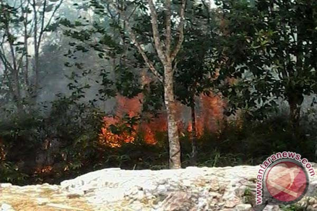 Wabup Gunung Mas Minta Instansi Tetap Siaga Karhutla