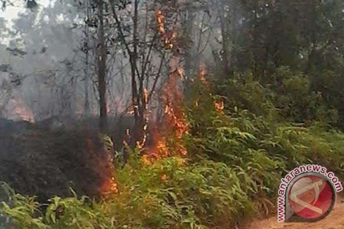 Warga Seruyan Ayo Patuhi Larangan Bakar Lahan 