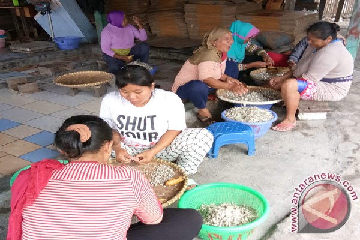 Produksi teri asin Pulau Pasaran anjlok