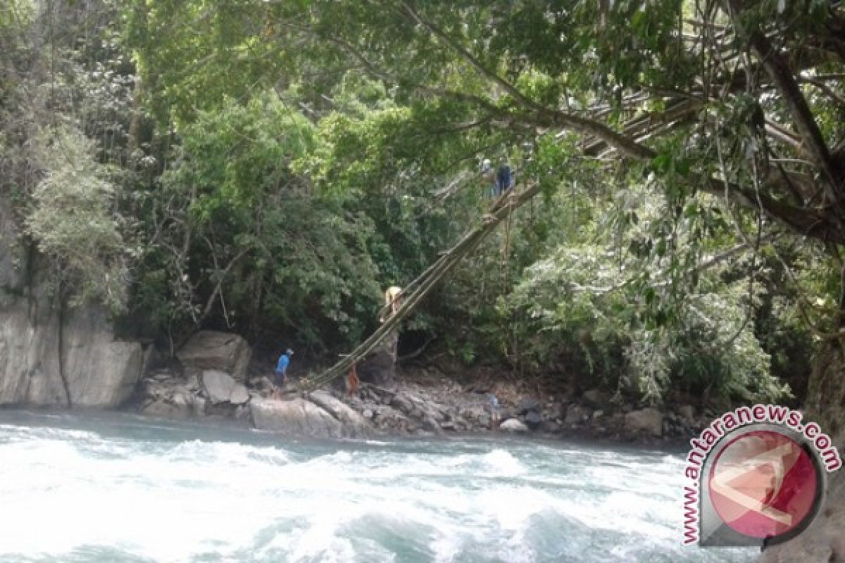 Warga Kuku bikin jembatan gantung untuk bertahan hidup