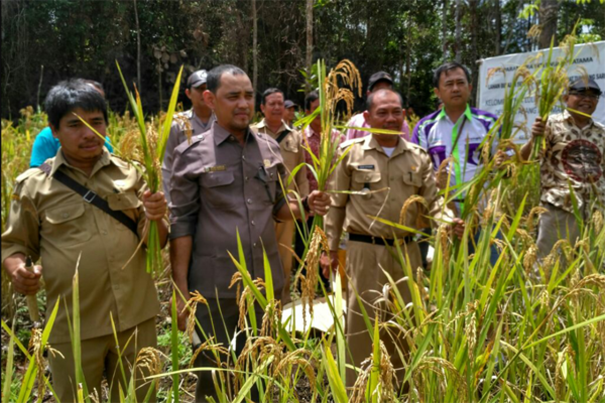 Legislator Apresiasi Masyarakat Berladang Tanpa Membakar