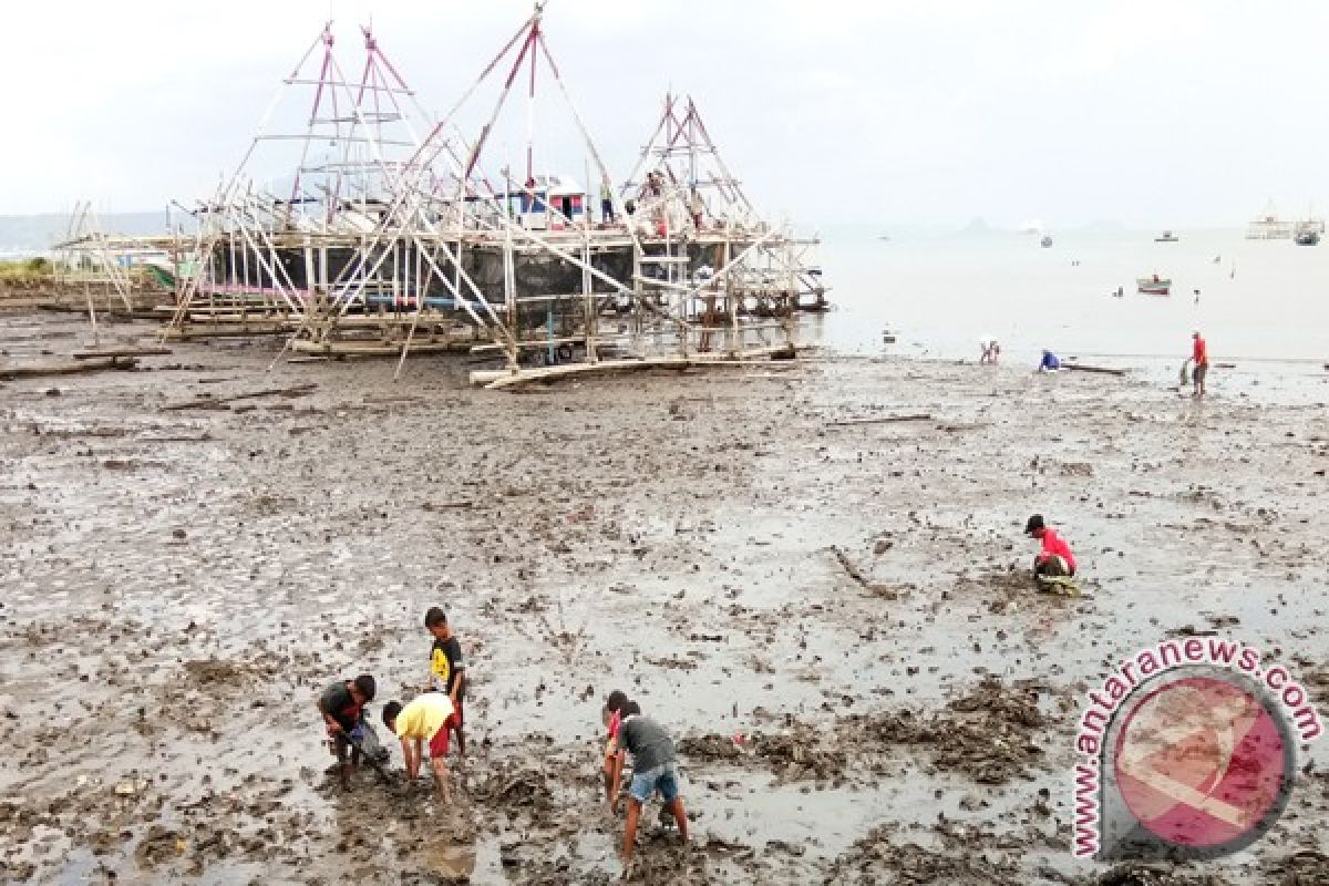 Pulau Pasaran jadi tempat cari kerang bulu