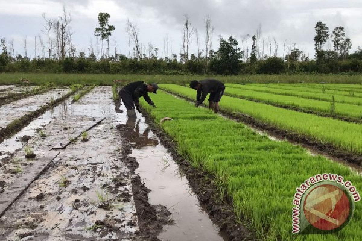 265 desa ikuti Jambore Masyarakat Gambut 2018