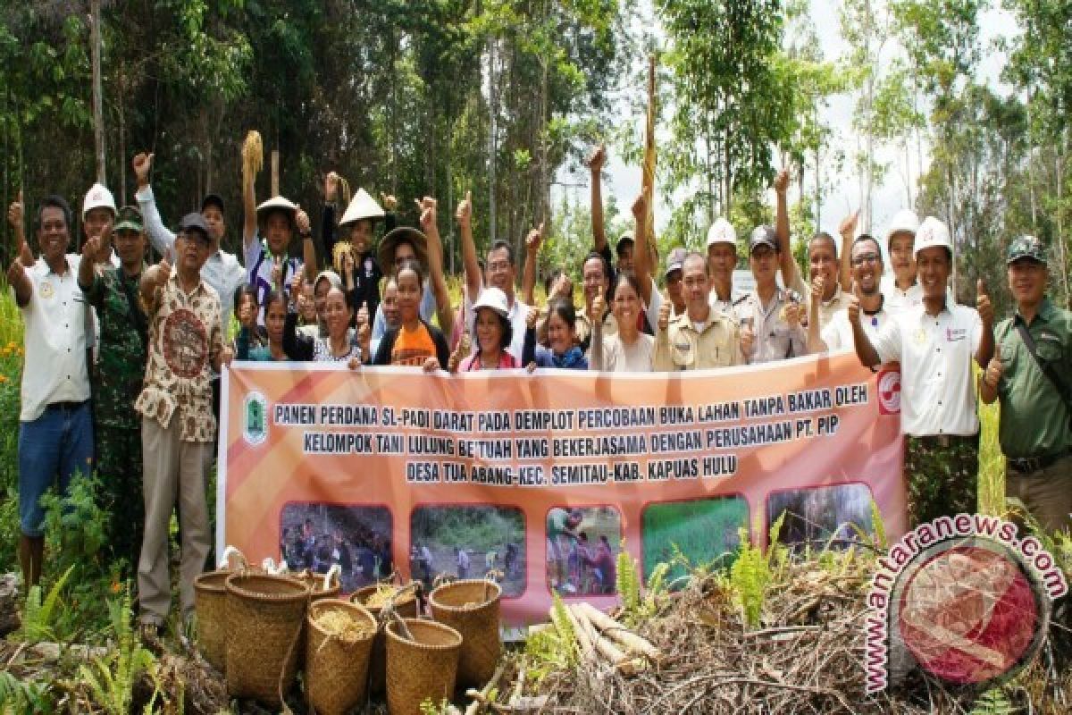 Petani Bian berladang tanpa membakar lahan