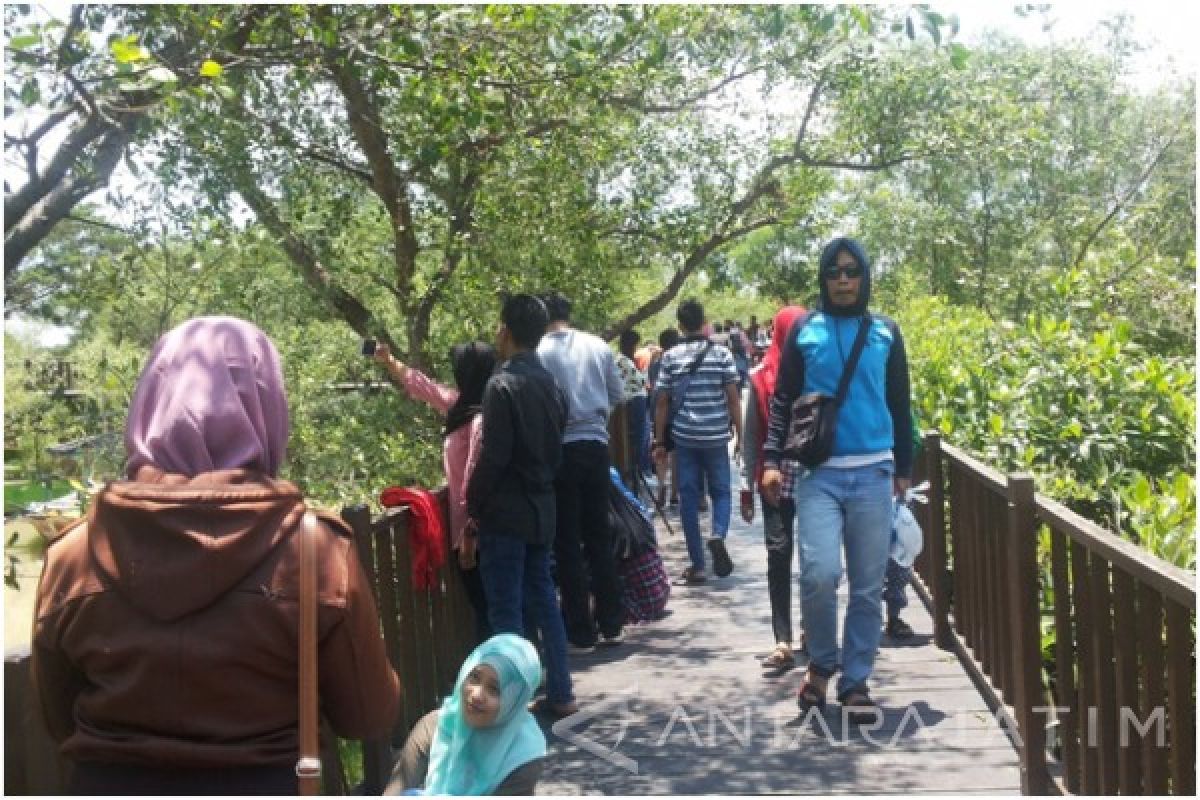 Pengunjung Padati Ekowisata Mangrove Wonorejo Surabaya 
