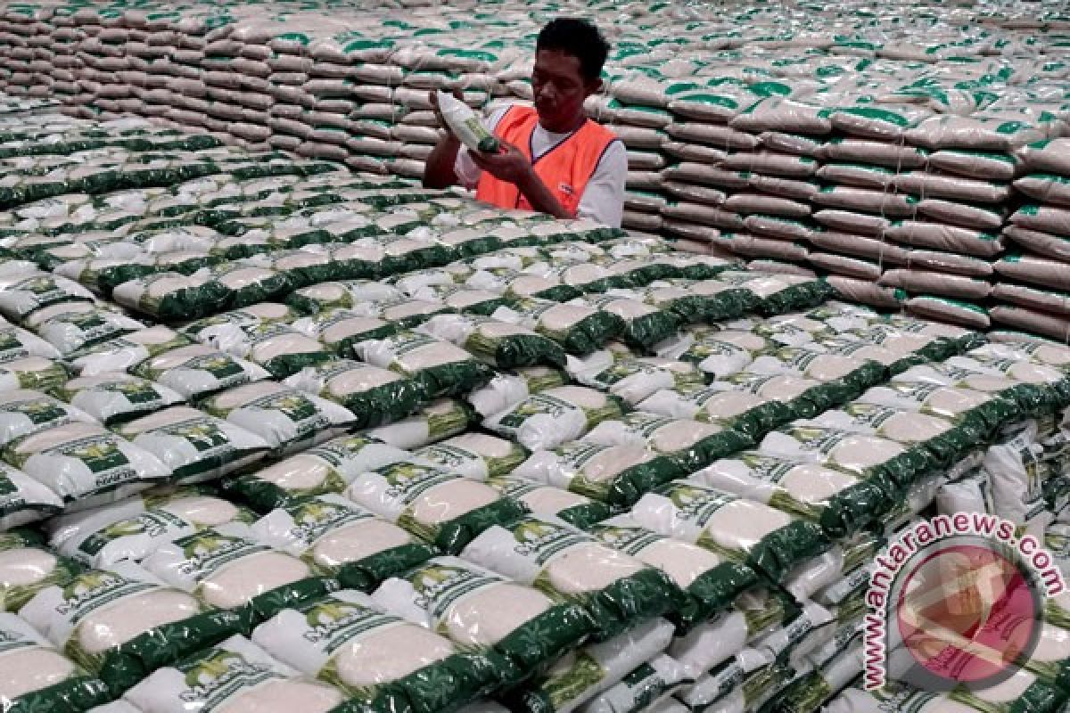 Direktur Bulog: pengadaan beras nasional 3,7 juta ton