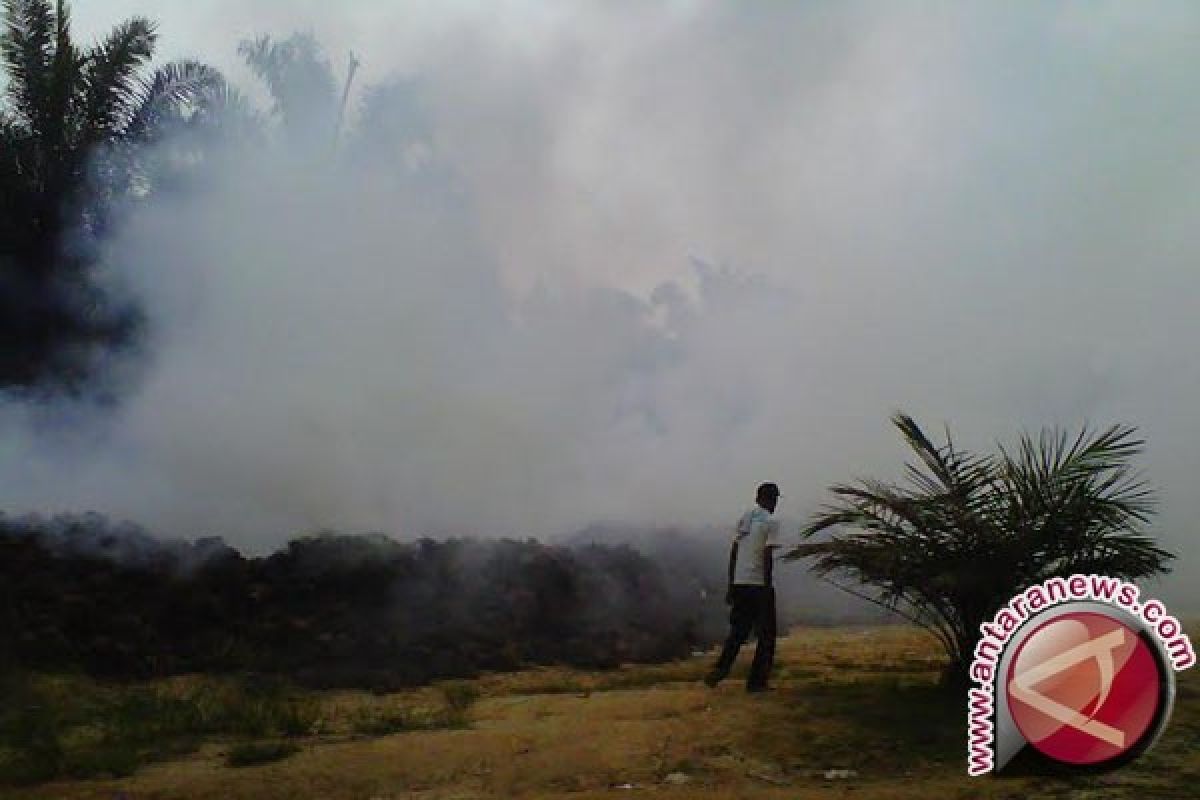 Polusi udara salah satu faktor penyebab kanker paru