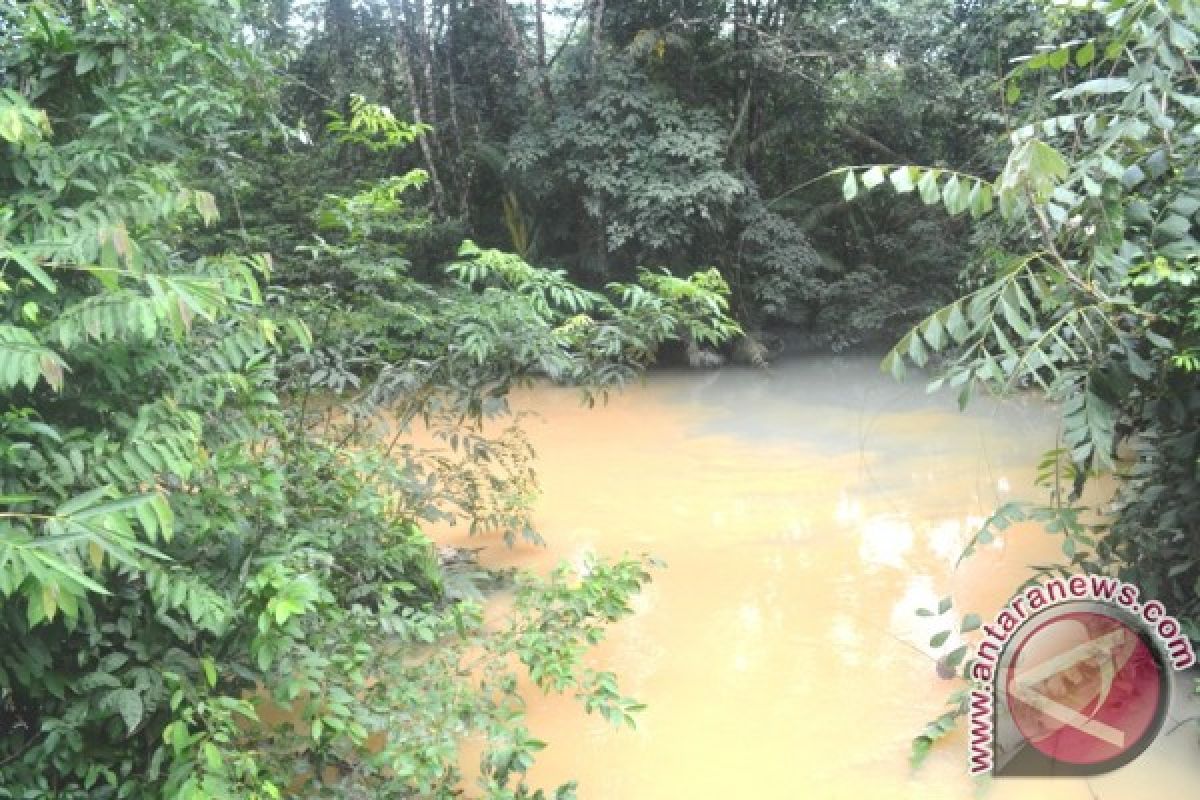 Petani Ikan Mas Balangan Merugi Hingga Rp3 Milyar