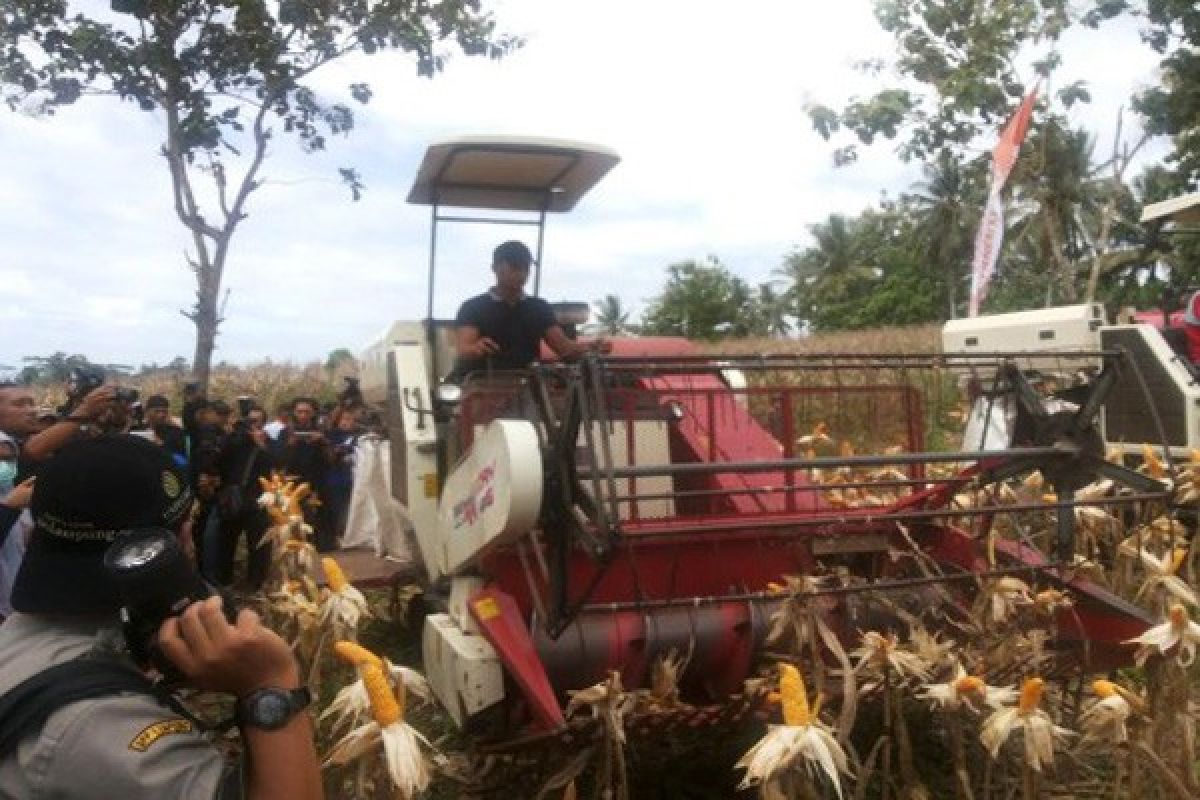 Japfa Berkomitmen Serap Jagung Lokal  