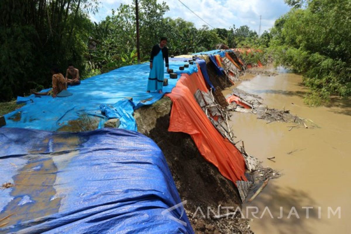 Balai Bengawan Solo Tunggu Banjir Surut untuk Perbaiki Tanggul (Video)