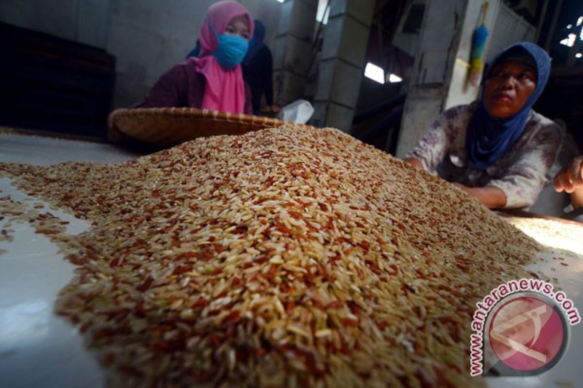 Petani Tasikmalaya komitmen kembangkan beras organik