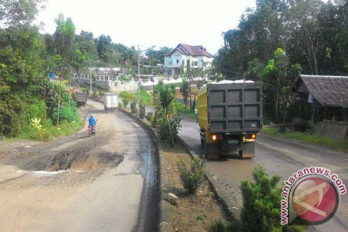 Trans Kalimantan road threatened by damage