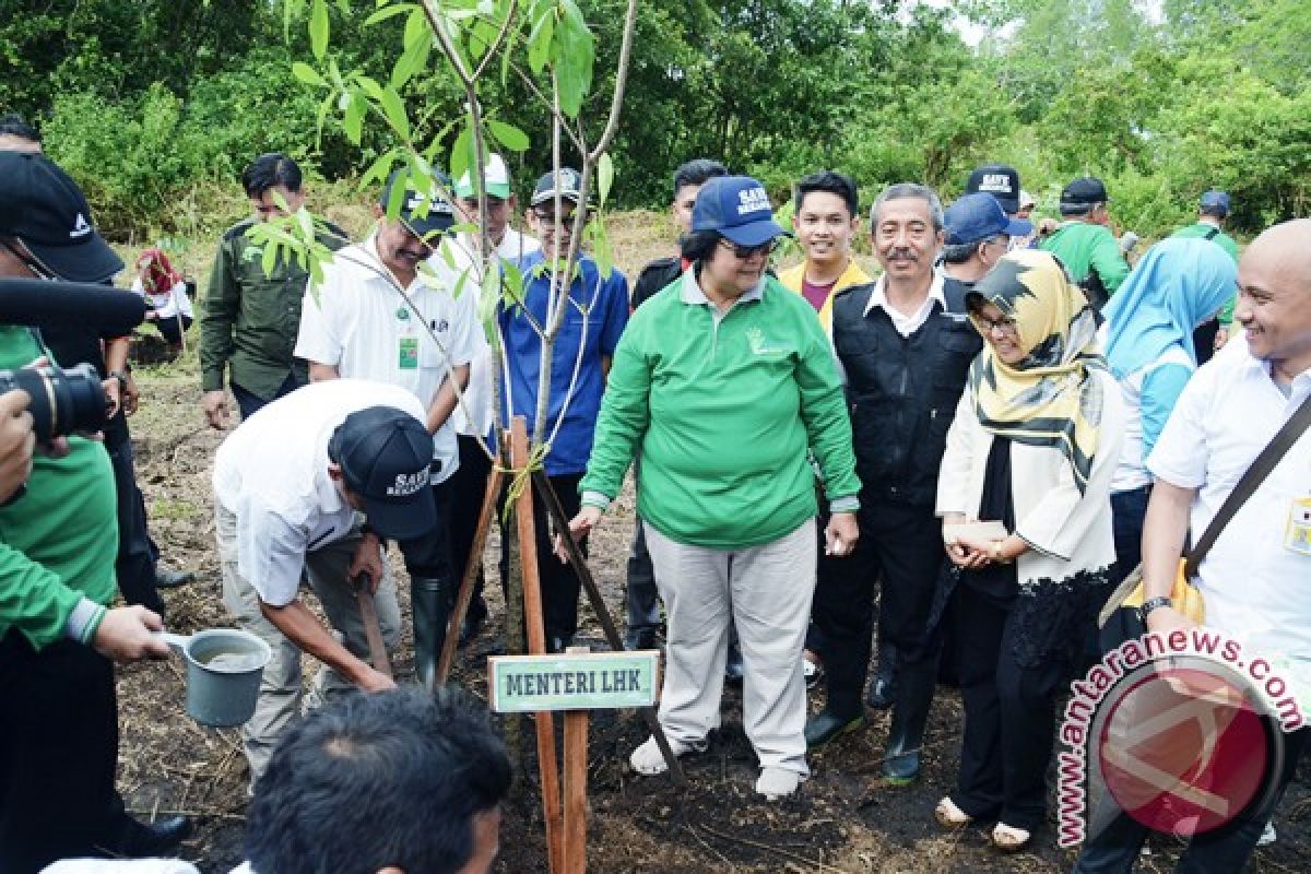 Das Tidak Terkelola Timbulkan Bencana Banjir