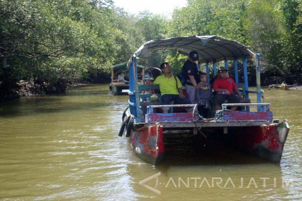 Bojonegoro Berencana Tanam Mangrove di Bengawan Solo