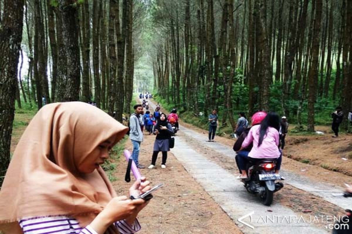 Pemkab Batang Tawarkan Objek Wisata Hutan Rajawali