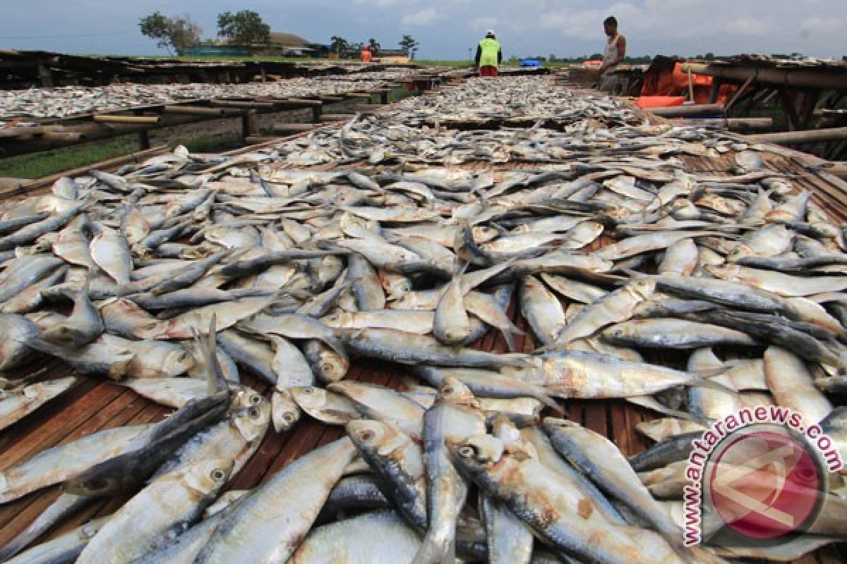 Pembudidaya ikan di Banyumas tertarik kembangkan sidat