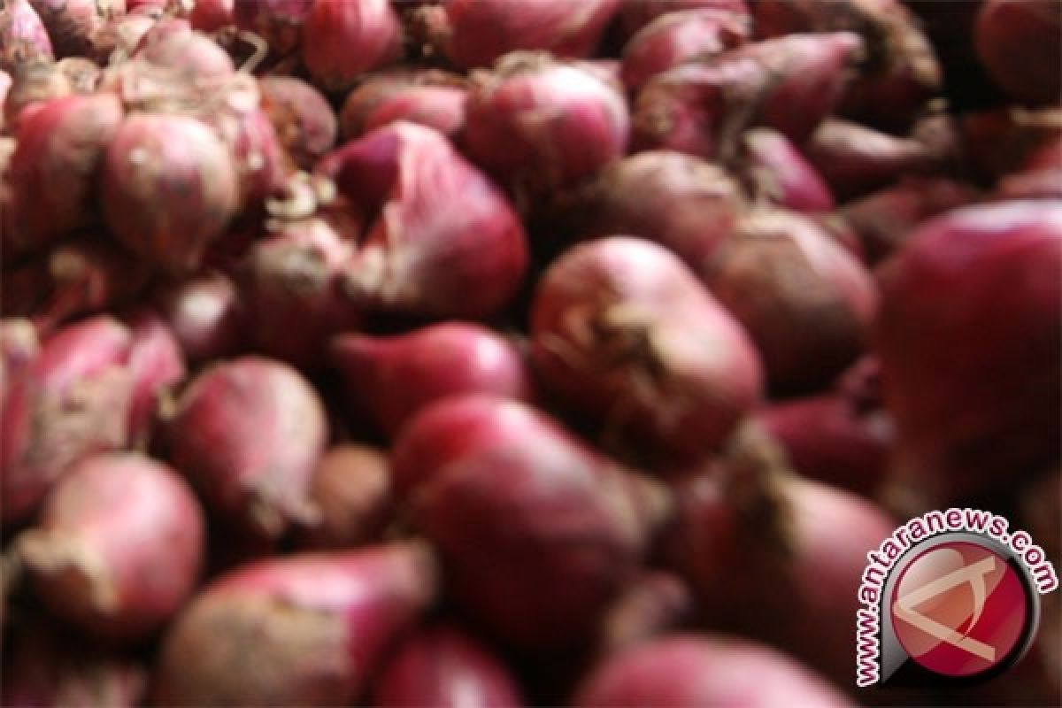 Harga bawang merah di Jambi naik