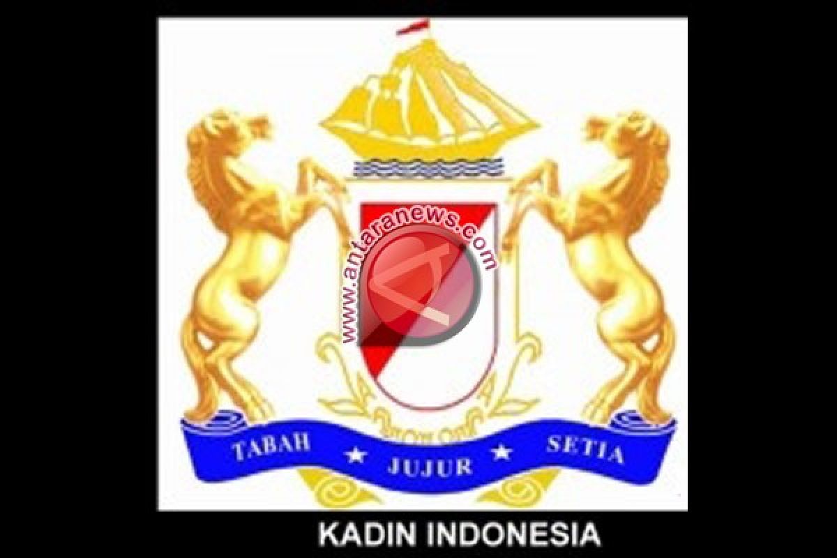 Kadin : Pertumbuhan Ekonomi Belum Menyentuh Sektor Riil